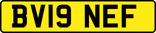 BV19NEF