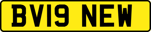 BV19NEW