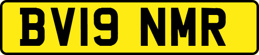BV19NMR