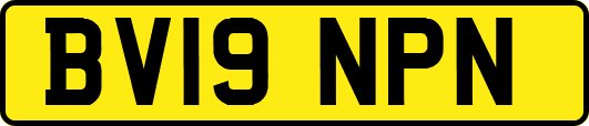 BV19NPN