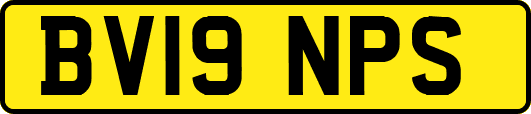 BV19NPS