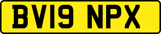 BV19NPX
