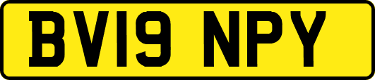 BV19NPY