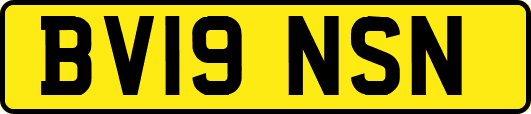 BV19NSN