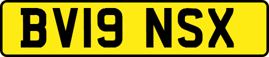 BV19NSX
