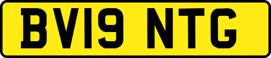 BV19NTG