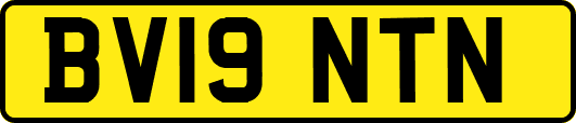 BV19NTN