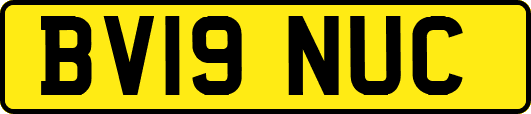BV19NUC