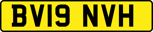 BV19NVH