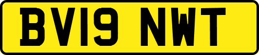 BV19NWT