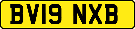 BV19NXB