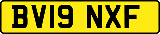 BV19NXF