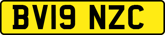 BV19NZC