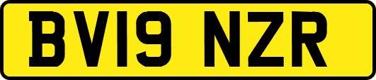 BV19NZR