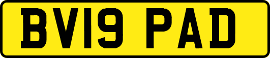 BV19PAD