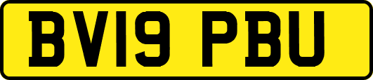 BV19PBU