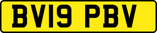 BV19PBV