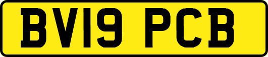 BV19PCB