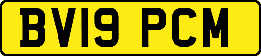 BV19PCM