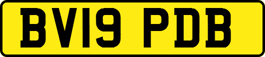 BV19PDB