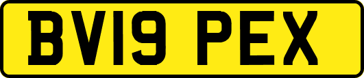 BV19PEX