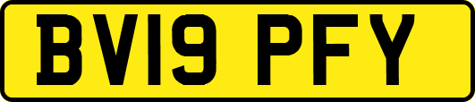 BV19PFY