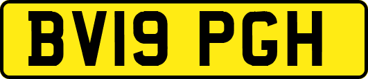 BV19PGH