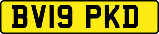 BV19PKD