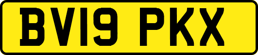 BV19PKX