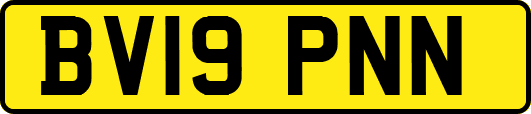 BV19PNN