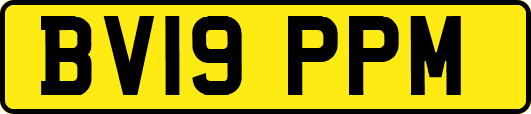 BV19PPM