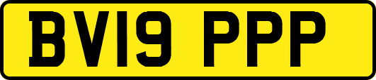 BV19PPP