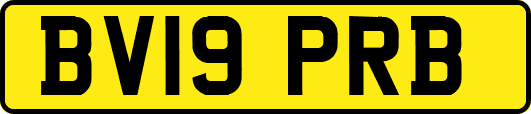 BV19PRB