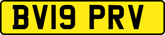 BV19PRV