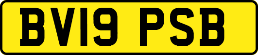 BV19PSB