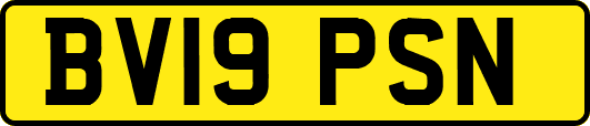 BV19PSN