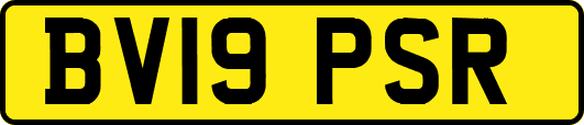 BV19PSR