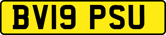 BV19PSU