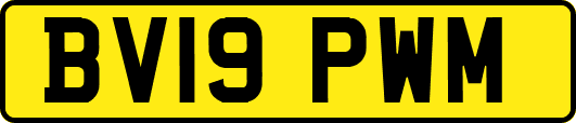 BV19PWM