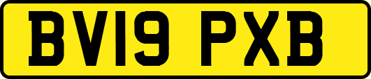 BV19PXB