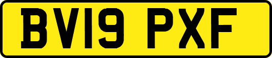 BV19PXF