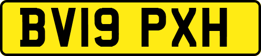 BV19PXH