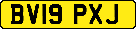 BV19PXJ