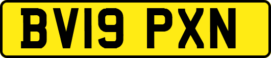 BV19PXN