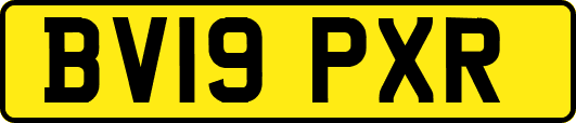 BV19PXR