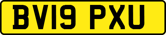 BV19PXU