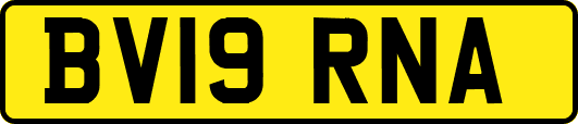 BV19RNA