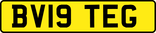 BV19TEG