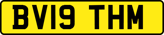 BV19THM