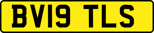 BV19TLS